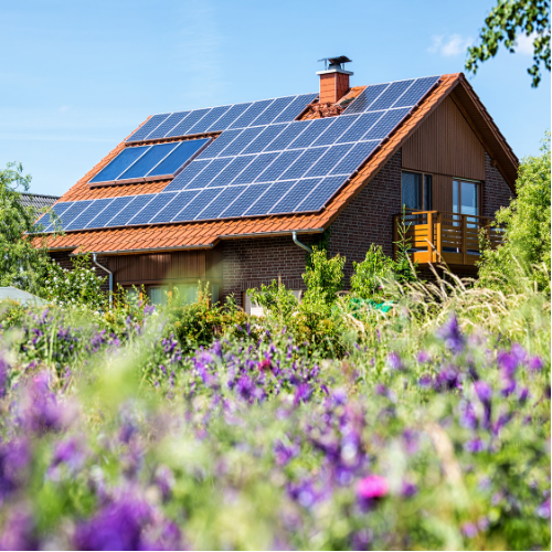 Nettoyage des Panneaux Solaires｜Du Propre